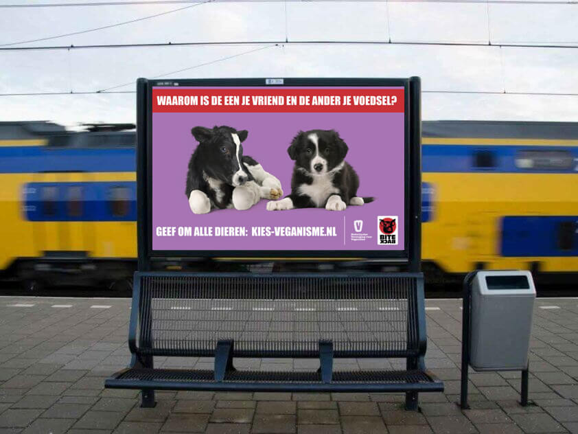 Vegan Outreach Reclame Campagne