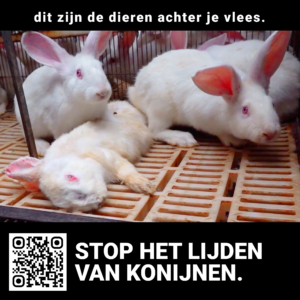 "Dit zijn de dieren achter je vlees" (10 stickers)