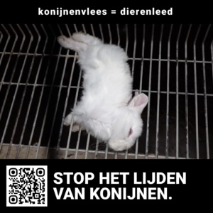 "Konijnenvlees = dierenleed" (10 stickers)