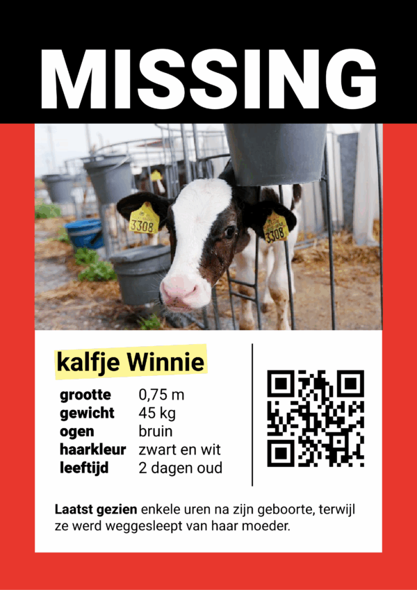 stickerpakket "Missing: kalfje Winnie" (set van 25 stickers)