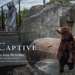 Captive - McArthur, Jo-Anne