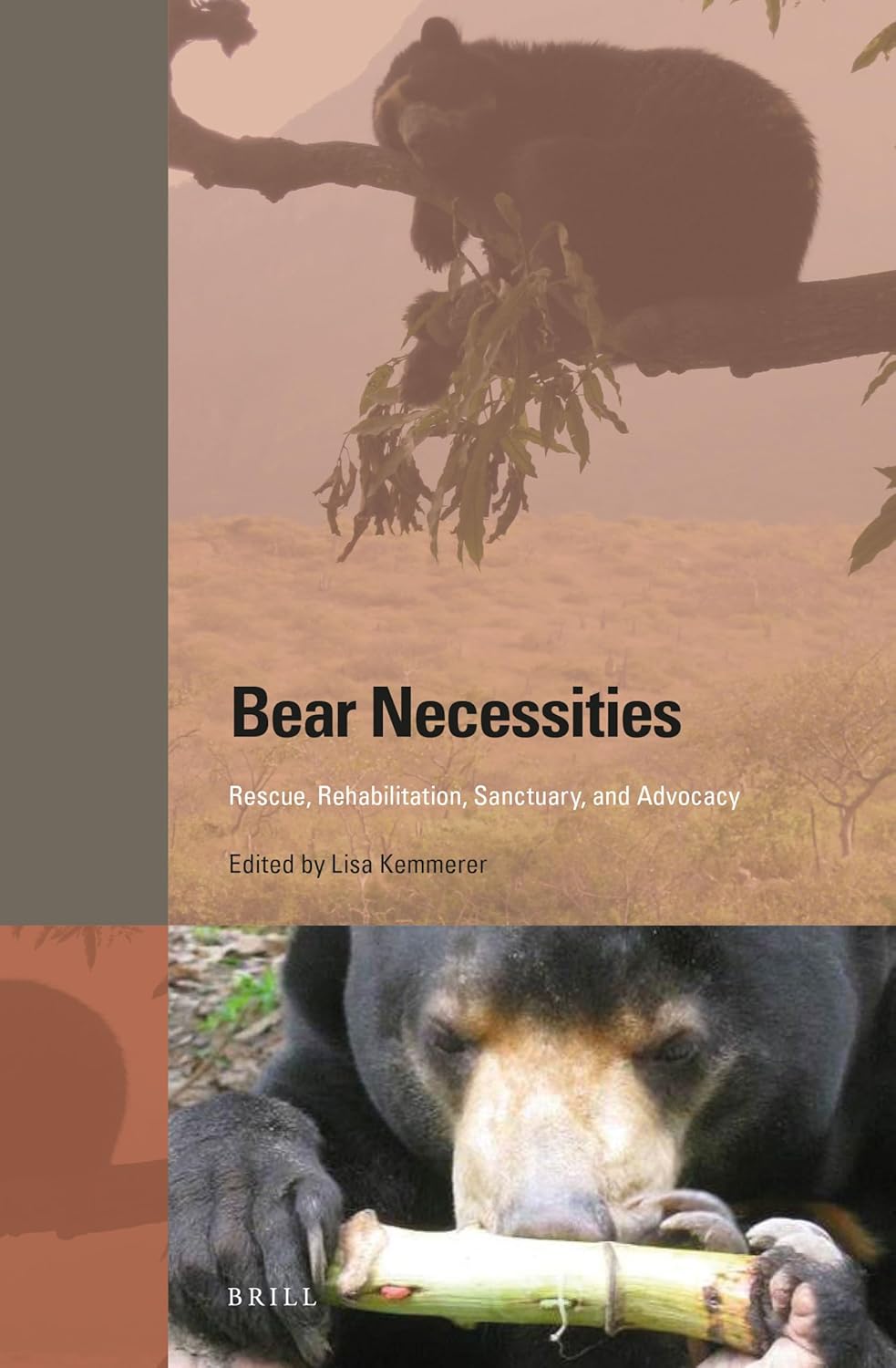 Bear Necessities -  Lisa Kemmerer