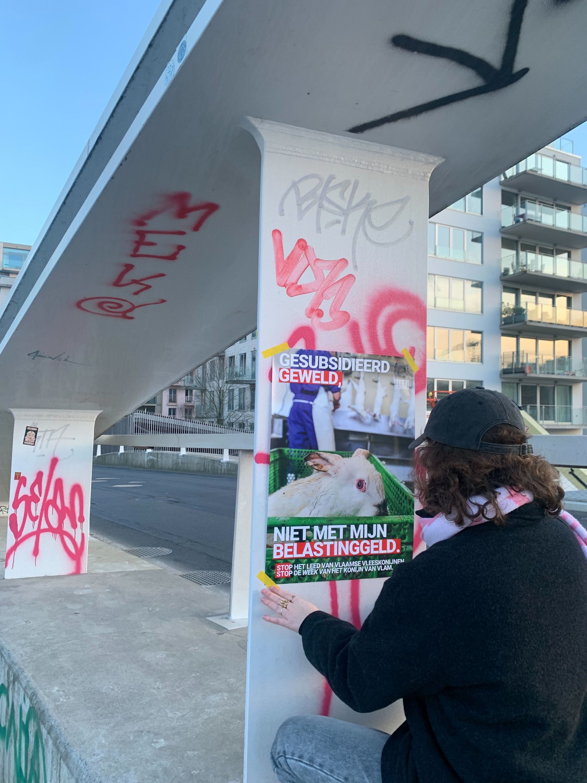 Actiepakket | Stop de Week van het Konijn - Afbeelding 4