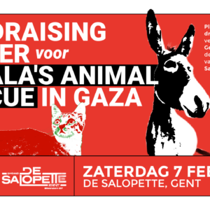 Fundraising Dinner voor Sulala's Animal Rescue in Gaza (ook take-away!)
