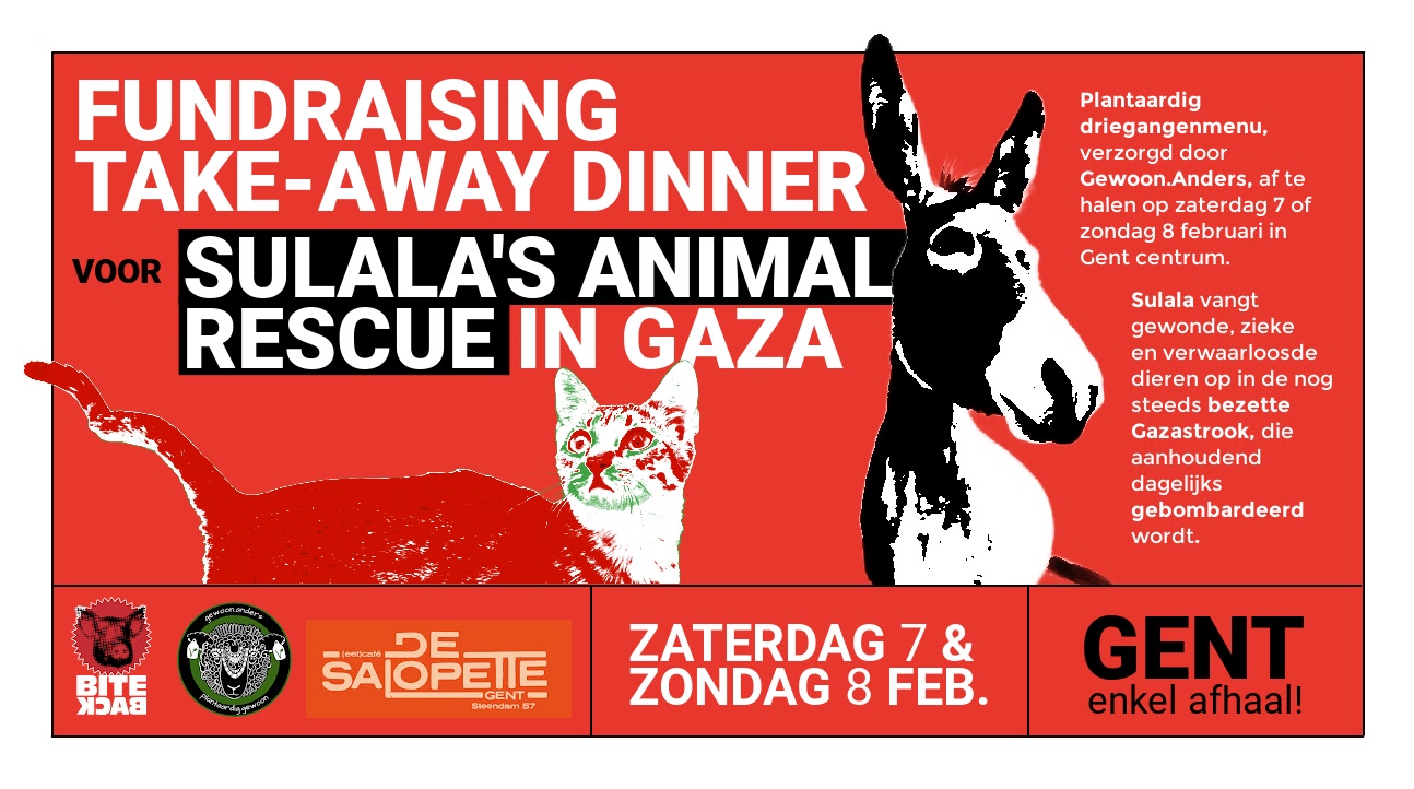 Fundraising Take Away Dinner voor Sulala's Animal Rescue in Gaza