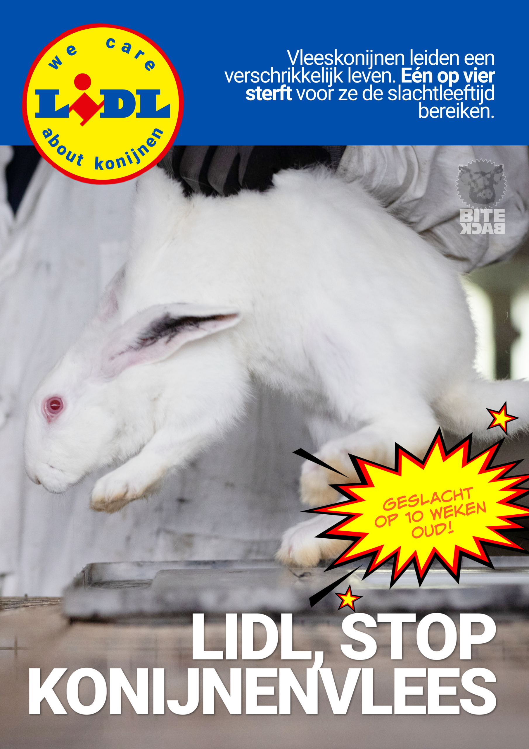 Actiepakket | Stop de Week van het Konijn - Afbeelding 3