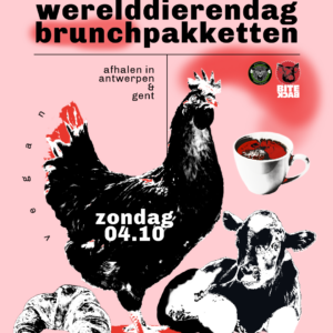 bite back X gewoon.anders | BRUNCHPAKKETTEN op WERELDDIERENDAG | 04.10